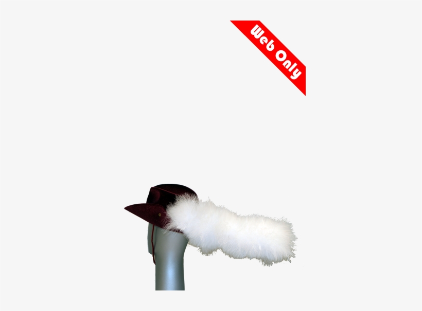 Marabou Cavalier Plume - Cat, transparent png download