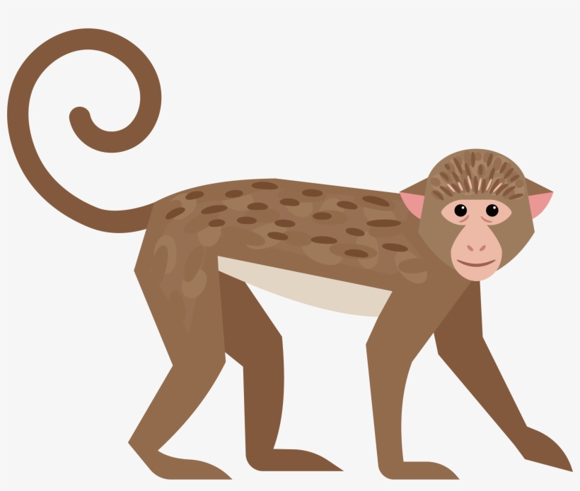 Cute Little Transprent Png Free - Monkey, transparent png download