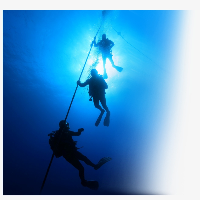 Take The Plunge In Our Heated Onsite Pool - Underwater Diving, transparent png download