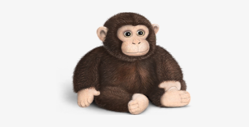 Michigan's Department Of Human Services Will Be Fined - Monkey Icon, transparent png download