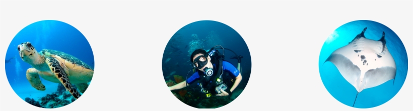 Image - Los Cabos Municipality, transparent png download