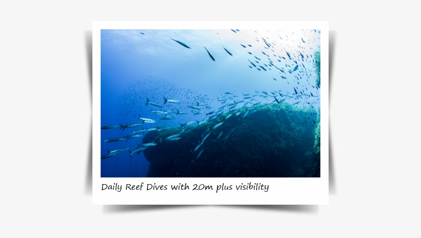 Scuba Diving In Malta - Maltaqua Scuba Diving School, transparent png download