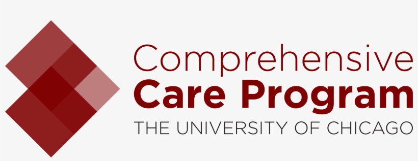 University Of Chicago - Brand Strategy, transparent png download