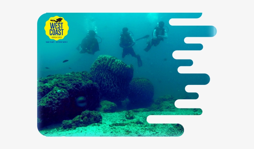Scuba Diver Certification - Scuba Dive At Murudeshwar, transparent png download