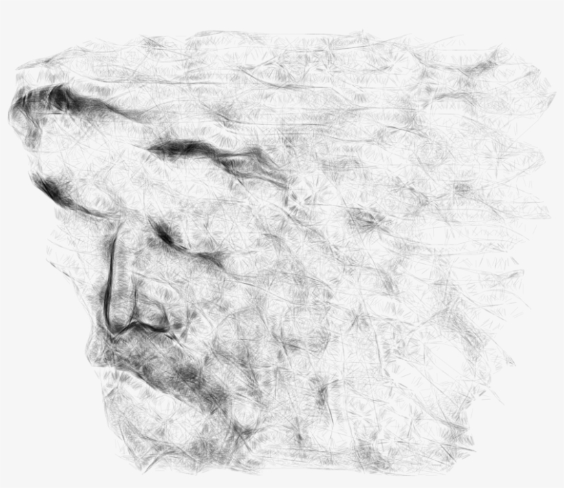 These Three Were Drawn On January 8, In One Brief Sitting - Sketch, transparent png download