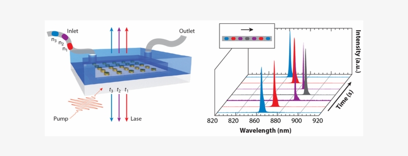 Recent Progress In Plasmon Lasers - Diagram, transparent png download