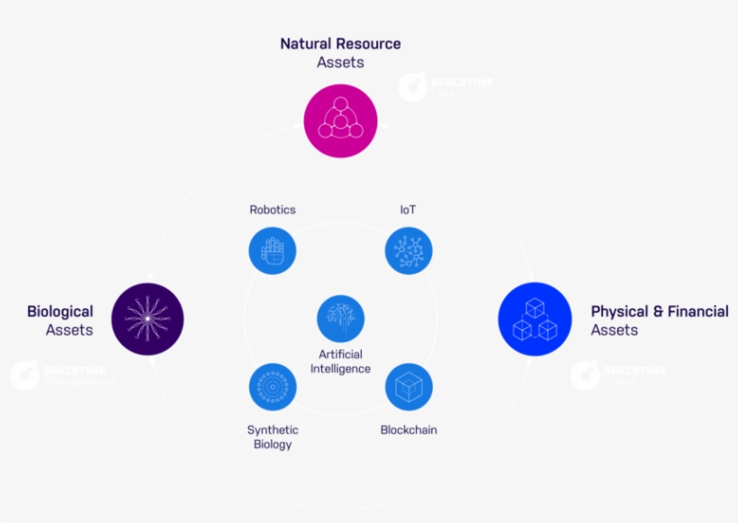 Diagram, transparent png download