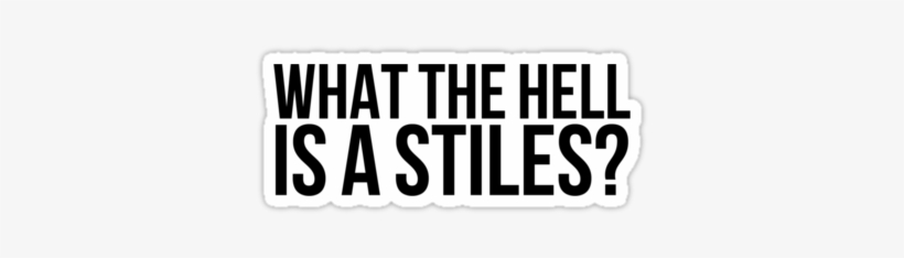 Teen Wolf, Stiles, And Dylan O'brien Image - Hell Is A Stiles Quote, transparent png download