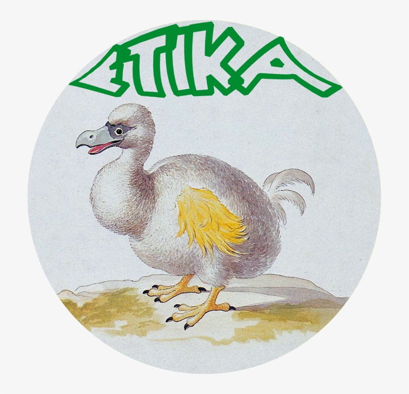 Etika, Consommer Éthique - 魔法 生物 ハリー ポッター, transparent png download