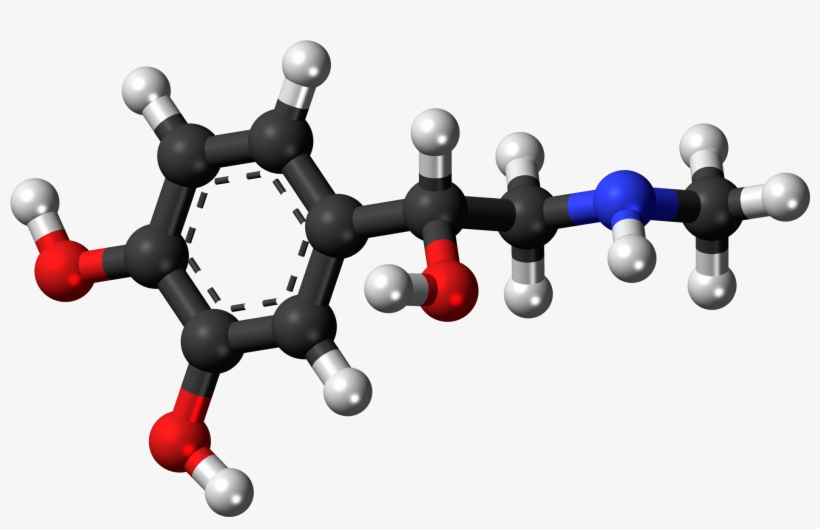 Amine Compounds (chemical Compounds), transparent png download