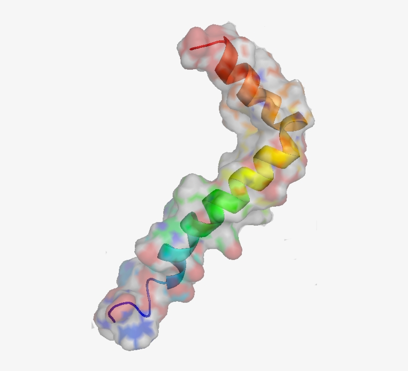 Beta Amiloide, transparent png download