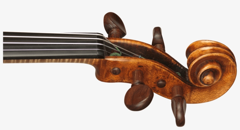 Auer S3998 Scroll - Viola, transparent png download