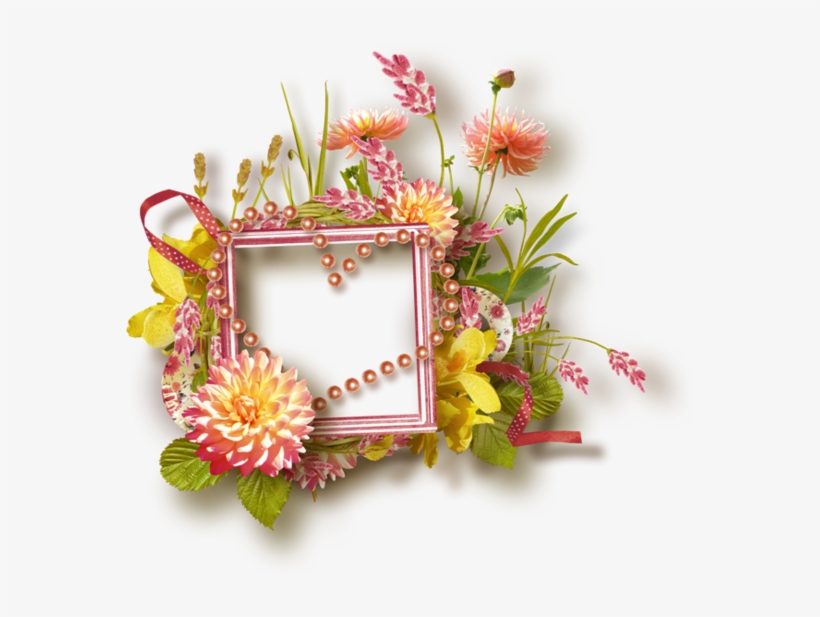 Les Cadres Divers - Flower, transparent png download