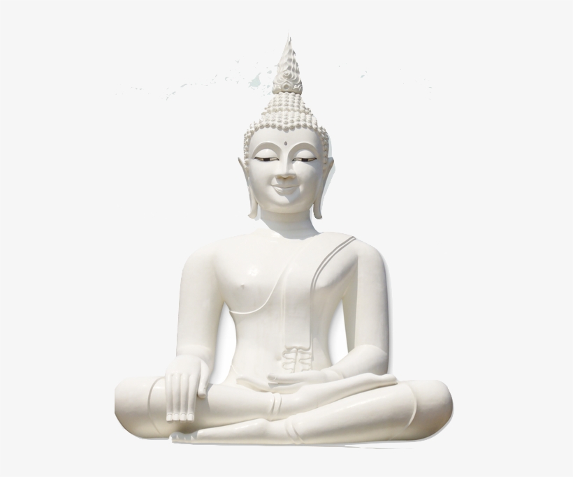 Activate The Natural Power Of Your Mind - La Storia Di Buddha [book], transparent png download