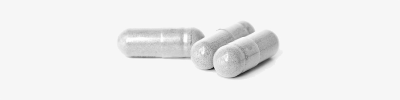 Care Bear Head Png - Probiotics And Allergies, transparent png download