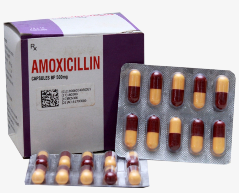 Amoxicillin Capsules Bp 250/500mg - احسن مضاد حيوي للحلق, transparent png download