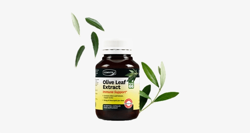 Immune Support Olive Leaf Extract 60 Capsules - Comvita Olive Leaf 15 Capsules, transparent png download
