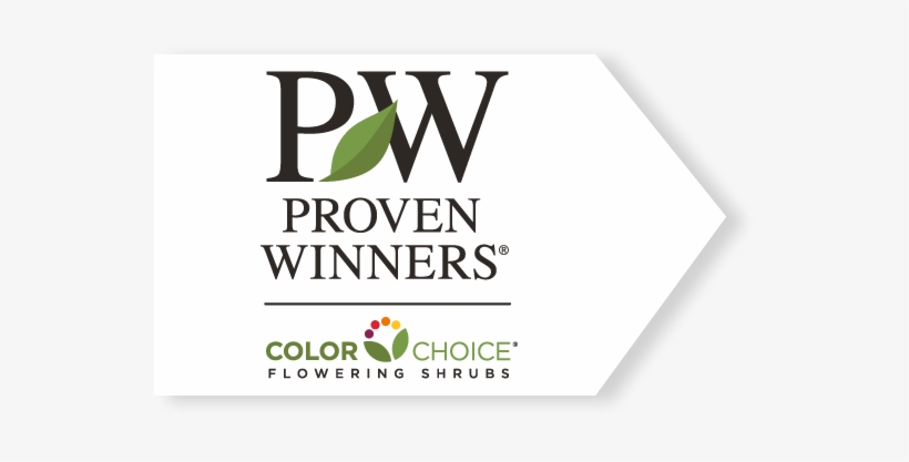 Proven Winners Flowering Shrubs - Proven Winners Colorchoice, transparent png download