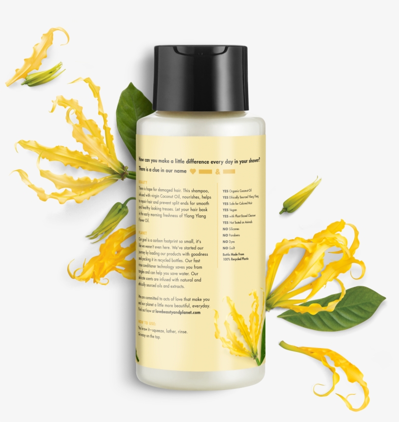 Love Beauty And Planet Coconut Oil & Ylang Ylang Shampoo, transparent png download