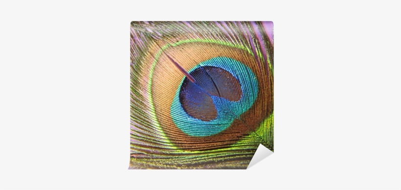 Placemat, transparent png download