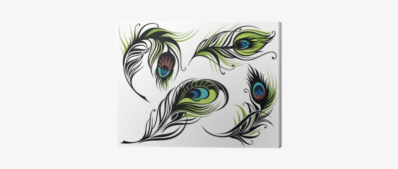 Peacock Tail Feather Illustration, transparent png download