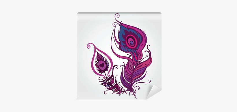 Beautiful Peacock Feather, transparent png download