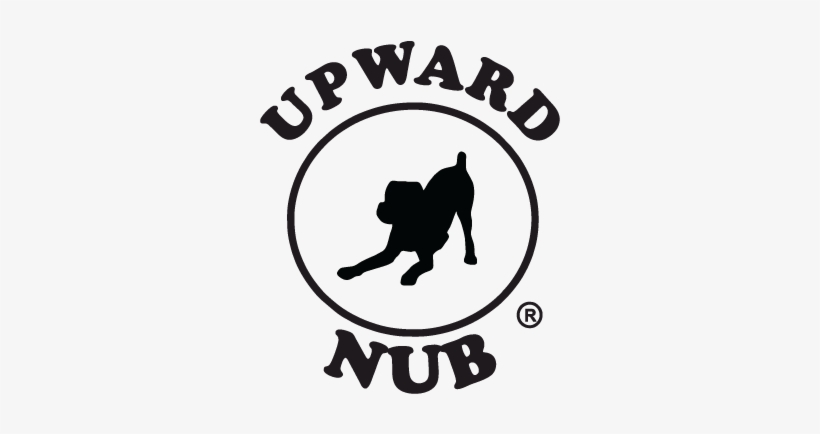 Registered Logo Newest 5 Inches Black - Play? Labrador Note Cards (pk Of 20), transparent png download