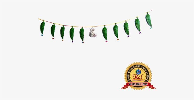 Geena Colour Bandervan - Color, transparent png download