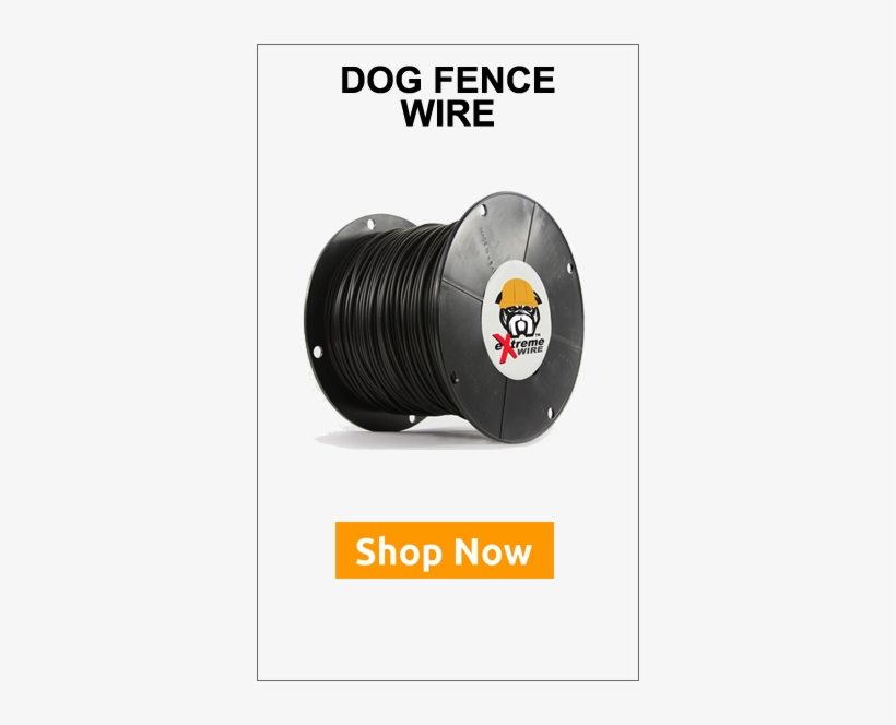 Extreme Dog Fence Petsmart Invisible Fence Compatible Transparent PNG