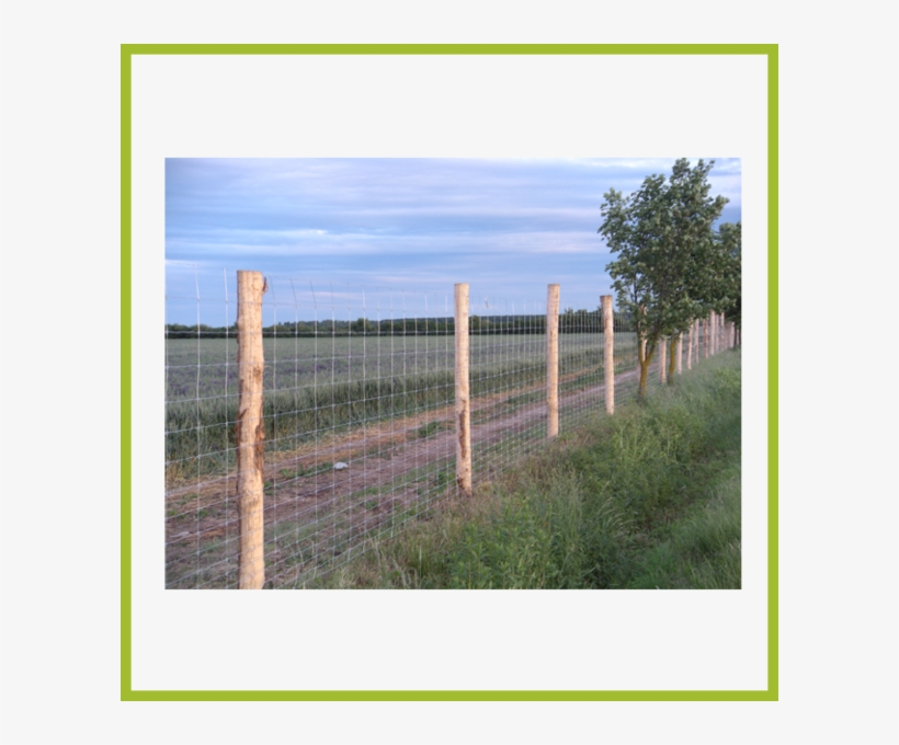 Mechanical Fence Systems - Split-rail Fence, transparent png download