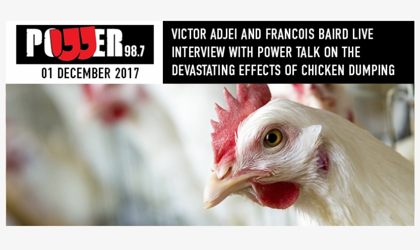 News - Rooster, transparent png download