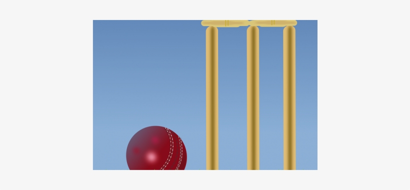 A Financial Giant Only- That's What Indian Cricket - Cricket, transparent png download