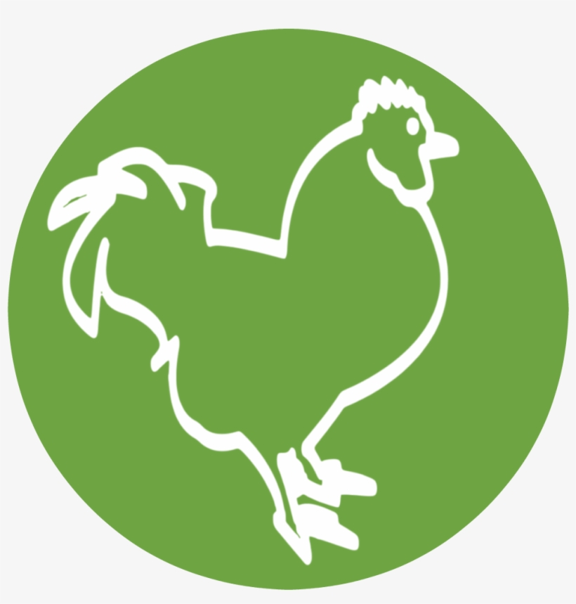 Raising Happy Chickens Icon - Chicken, transparent png download