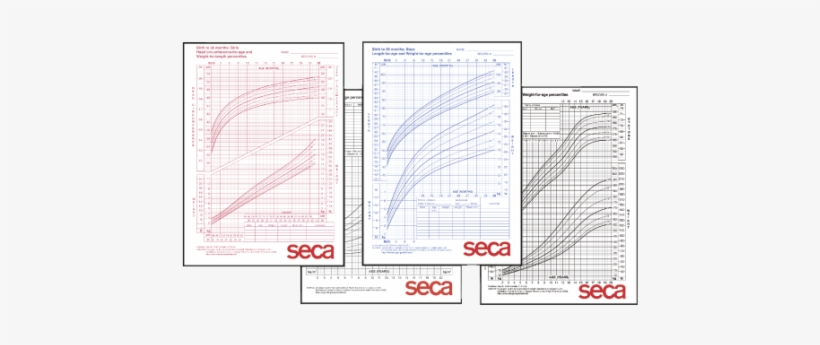 Seca 406b Growth Charts Boys 2-20 Years - Pack Of 100, transparent png download