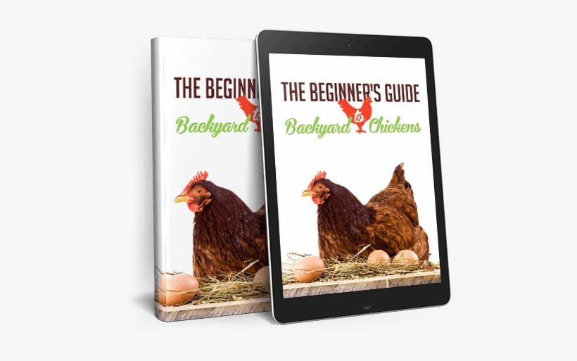 Learn Everything You Need For Success With Your Happy - Wonder Blowin In The Wind, transparent png download