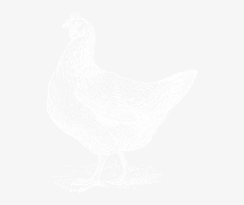 Chicken3 - Chicken, transparent png download