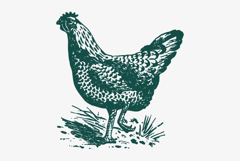 Live Music - Harman Combo 'poulet' Cotton Kitchen Towel - Set, transparent png download