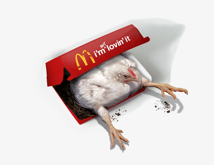 Want To See What Goes Into Making One Of Mcdonald's - I M Not Lovin It The Humane League, transparent png download
