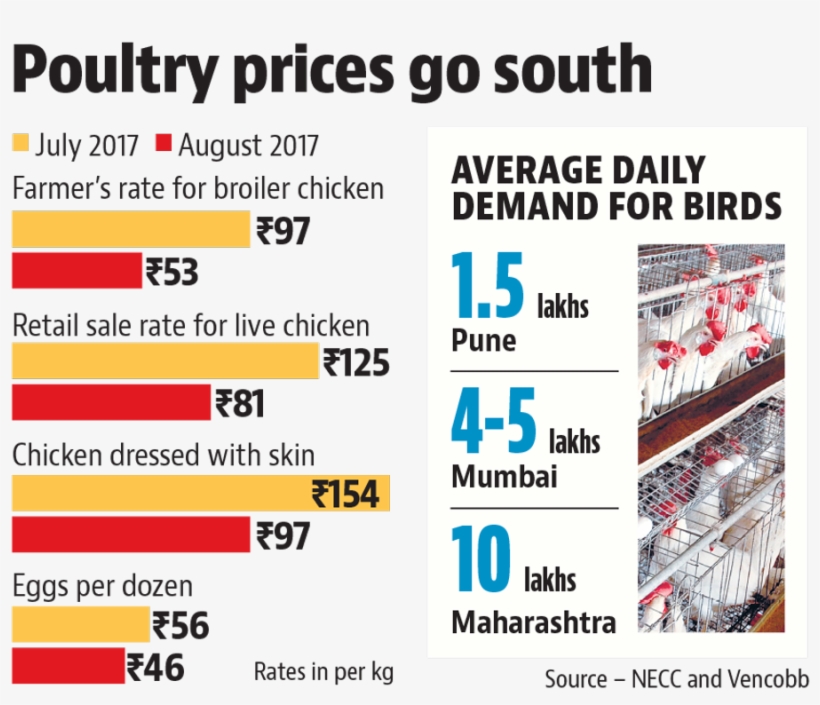 Deepak Chavan, Expert From Poultry Sector, Said That - Number, transparent png download