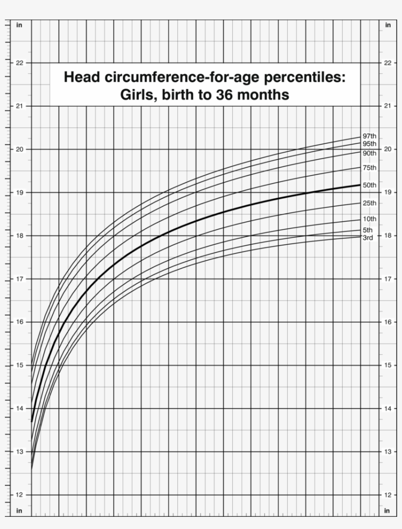 Head Circumference For Age Percentiles Girls Birth Centile Chart The Head Circumference For Age Percentiles Girls Birth Centile Chart The