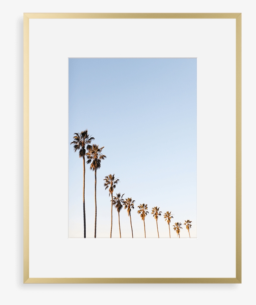 Metal Gallery Matte Gold - Sky With Palm Trees, transparent png download