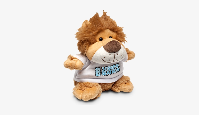 Lion Soft Toy & Shirt - Lion Soft Toy, transparent png download