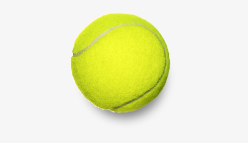 Tobias Harris - Paddle Tennis, transparent png download