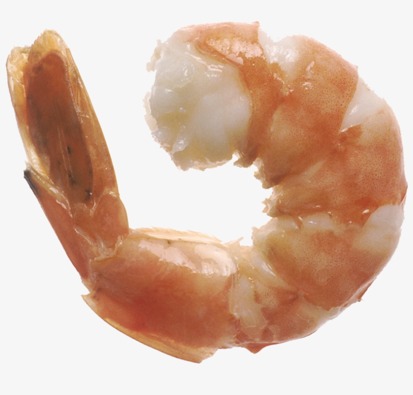 Spinning Shrimp - - Shrimp Jpg, transparent png download