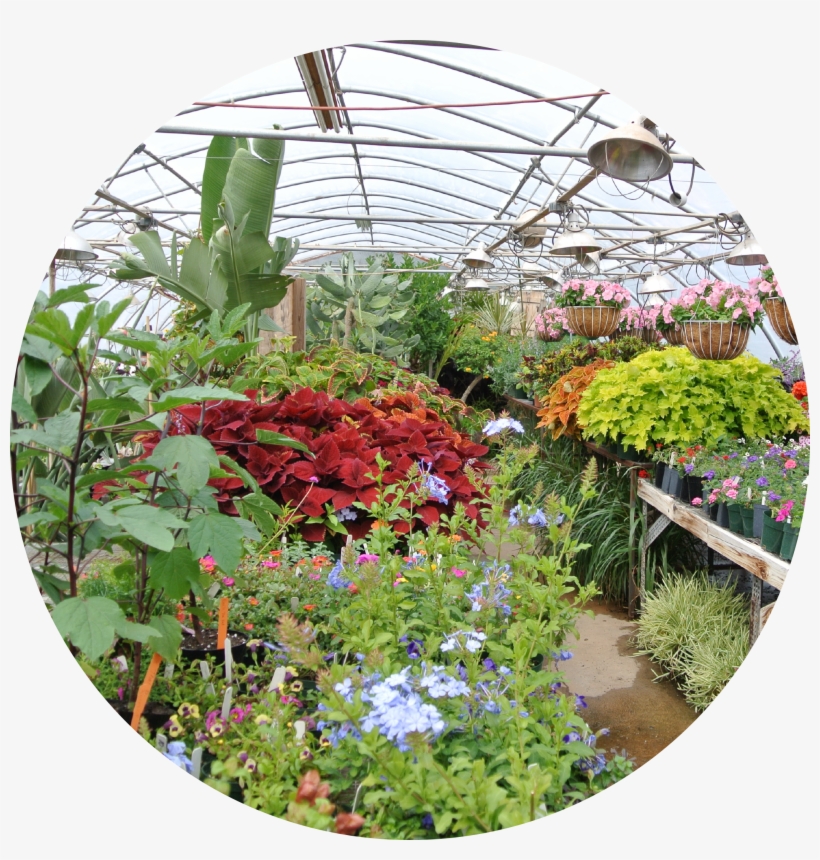 The Botanic Garden At Oklahoma State University, transparent png download