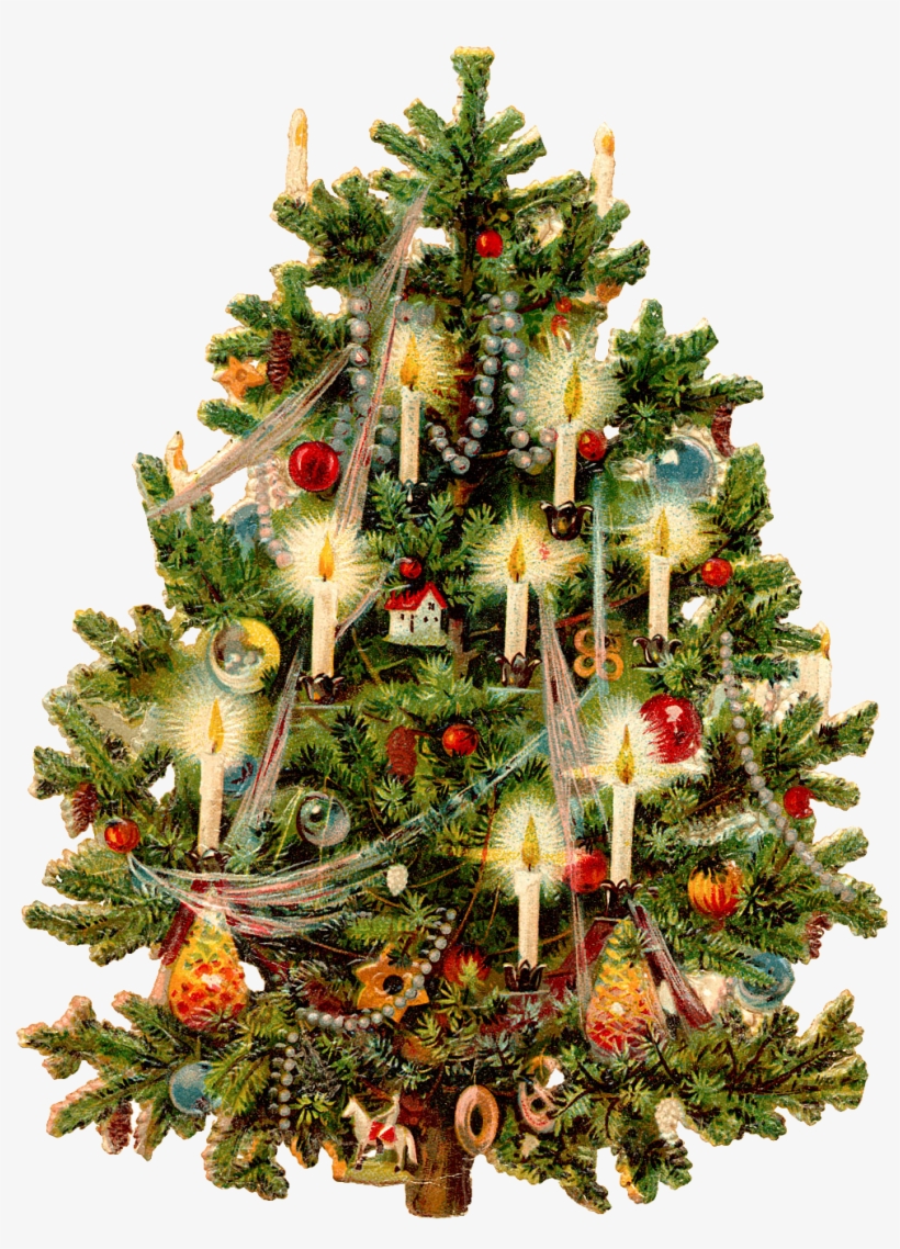 Victorian Christmas Tree - Old Fashion Christmas Tree Transparent PNG -  1034x1353 - Free Download on NicePNG, image size:820x1138
