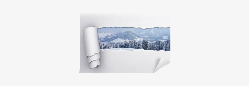 Paper, transparent png download