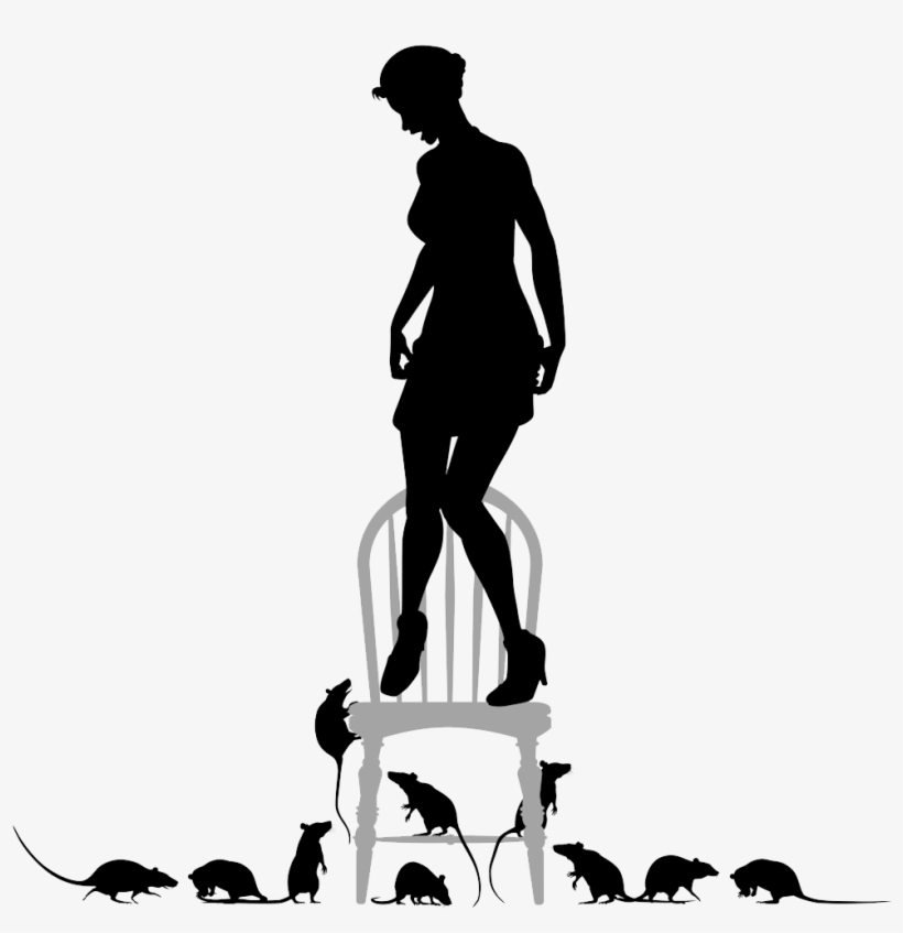 Rat Phobia - Pest Controll Silouete, transparent png download