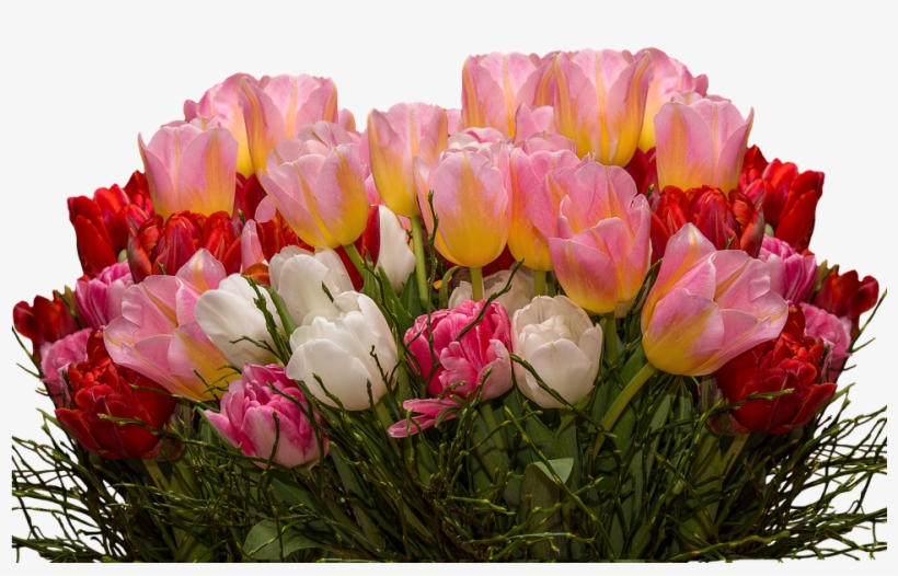 Tulips, Png, Nature, Flowers, Tulpenzwiebel, Spring - Girls Red And Pink Floral 3d Dress, transparent png download