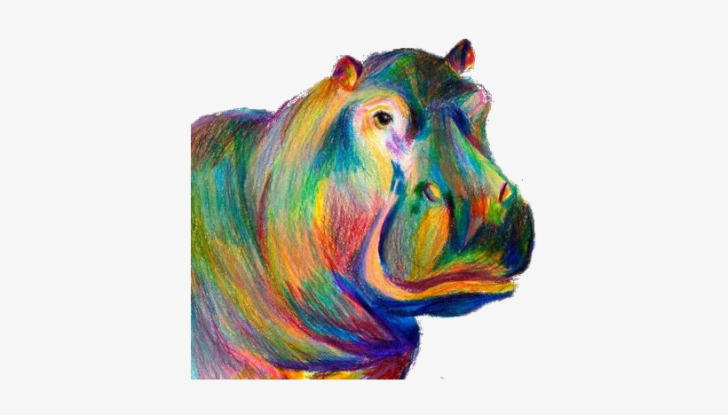 Redsnt - Hippo Colorful, transparent png download